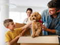 family moving in with dog