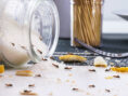 Ants crawl all over a spilt jar of sugar in a contemporary kitchen space.