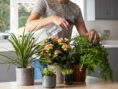 Woman takes care of her houseplants like a pro.