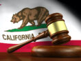 Gavel ruling over California renters rights in front of the state flag.